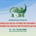 Chờ đón Hội nghị Khoa học Hội Lão khoa TPHCM 2026: 6 hội trường, 42 phiên khoa học, hơn 150 bài báo cáo